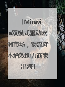 Miravia双模式驱动欧洲市场，物流降本增效助力商家出海